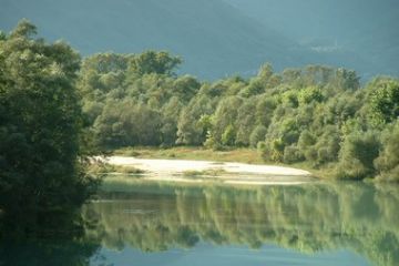 Ossola, Fiume Toce ... ansa e vegetazione