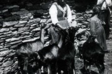 La Tagliata nel 1900